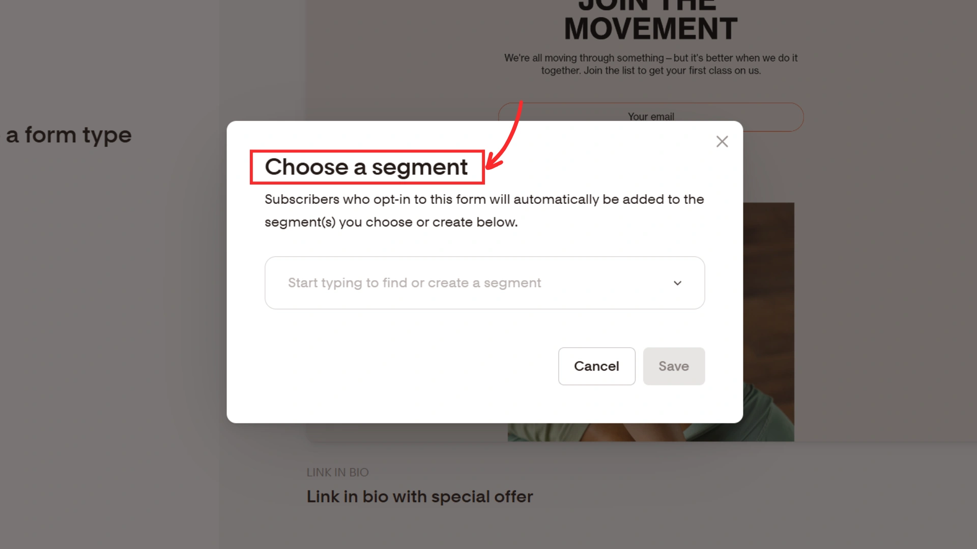 Affiliate Marketing by Email: Why Your Campaigns Aren’t Converting (And How to Fix It Fast) 2 Pop-up form allowing users to choose a segment for email list subscribers.