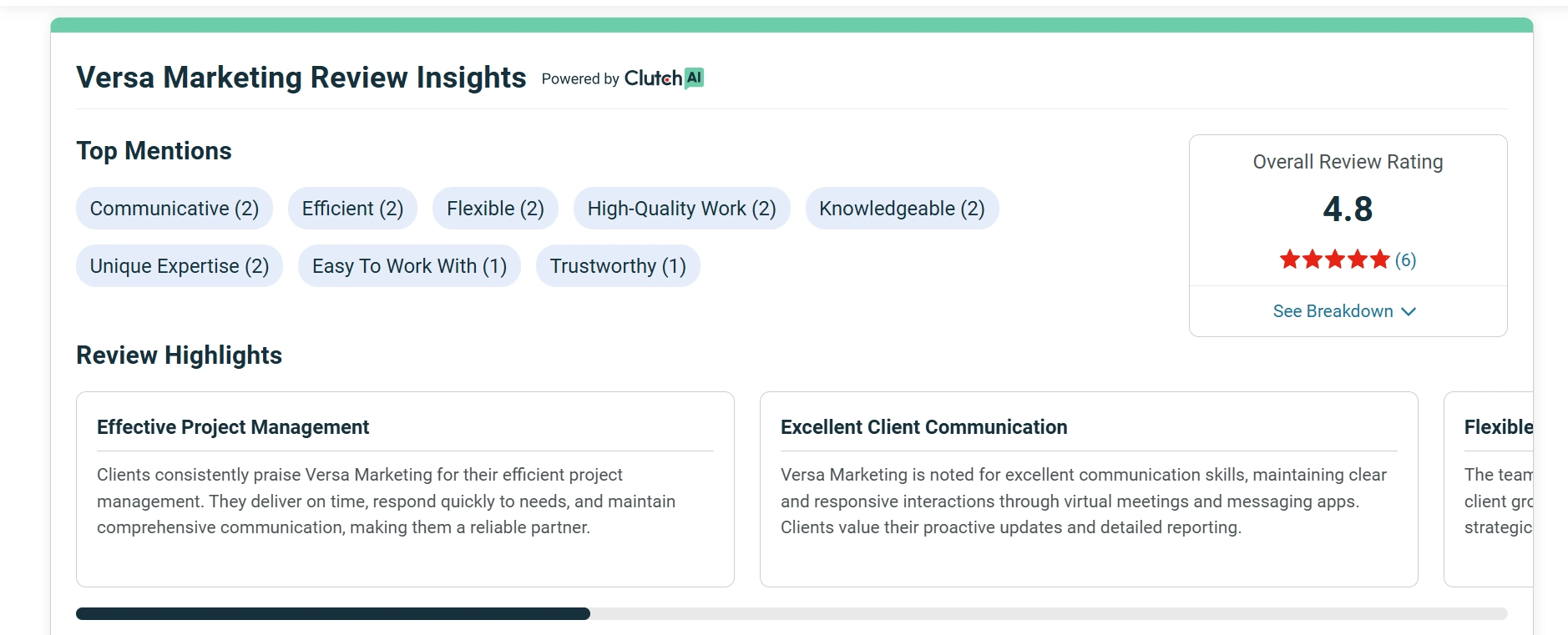 Versa Marketing review insights show an overall rating of 4.8 with top mentions including "Communicative," "Efficient," and "High-Quality Work."